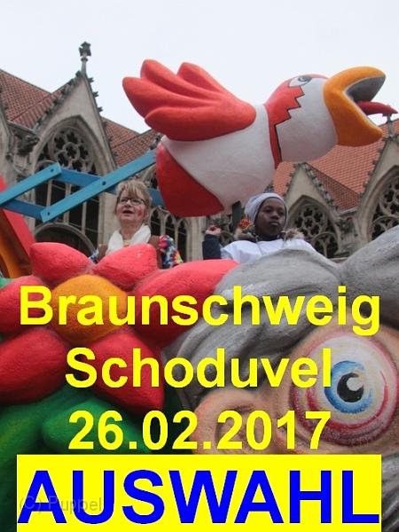 A Braunschweig Schoduvel 2017 AUSWAHL.jpg